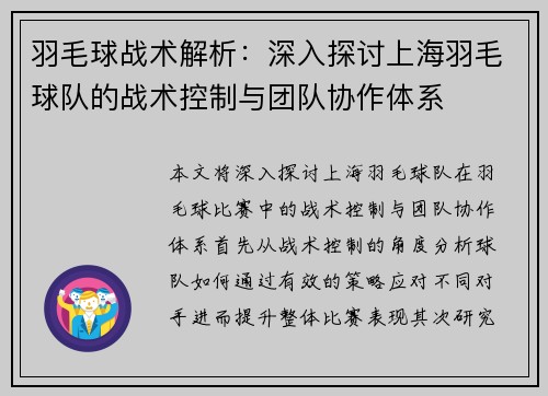 羽毛球战术解析：深入探讨上海羽毛球队的战术控制与团队协作体系